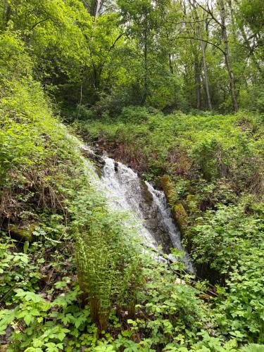 a waterfall in the middle of a field with trees at Eco Lodge with Jacuzzi and View in the Swiss Alps in Grône