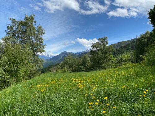a field of flowers on a hill with mountains in the background at Eco Lodge with Jacuzzi and View in the Swiss Alps in Grône