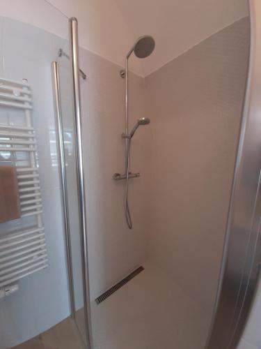 a shower with a glass door in a bathroom at Apartmány VIENNA in Mikulov