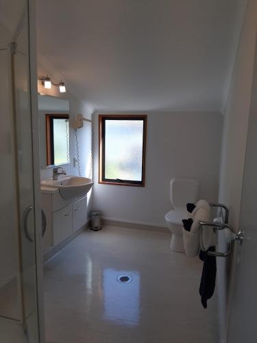 a white bathroom with a toilet and a sink at Bayside Motel Whitianga in Whitianga