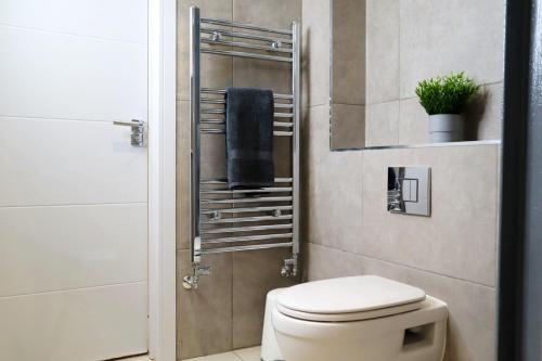 ein Bad mit einem WC und einer Dusche in der Unterkunft Trendy Urban Industrial Apartment - Great Location - Parking - Fast WiFi - Smart TV - Beautiful 2 Double Bedroom Apartment sleeps up to 4! in Bournemouth