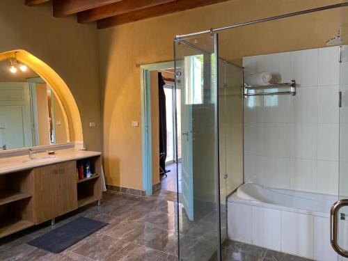 a bathroom with a shower and a tub and a sink at Kom El Dikka Agri Lodge in ‘Izbat an Nāmūs