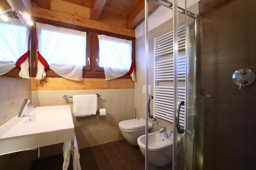 a bathroom with a toilet and a sink and a shower at Residence Al Lago in Auronzo di Cadore