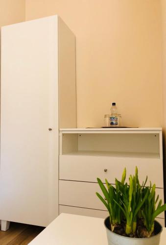 a white cabinet with a potted plant on a table at Gasthaus Stammbaum in Andernach