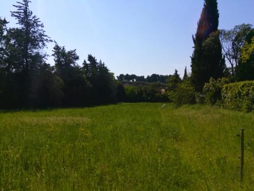 Příroda nedaleko bed and breakfast