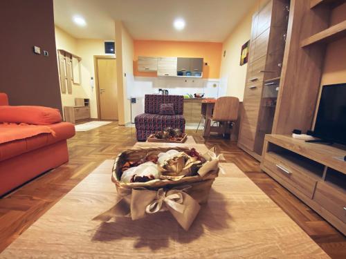 Una televisión o centro de entretenimiento en Apartment Vas Raj