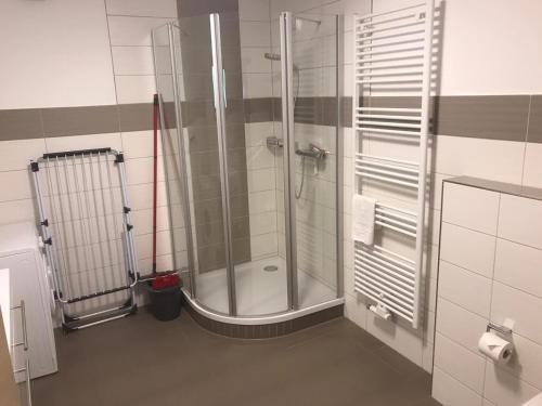 a bathroom with a shower with a glass door at Landgasthof Schwabhausen in Schwabhausen