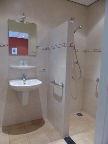 een badkamer met een wastafel en een douche bij Wildenborcherhof in Vorden
