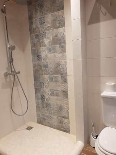 a bathroom with a shower with a toilet at Villa Erika in The Heart of Nida in Nida