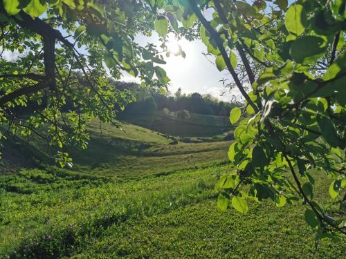 a field of green grass with the sun in the background at House for rest and fun JEKA in Duga Resa