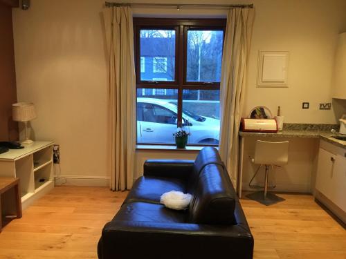 a living room with a couch in front of a window at College View Apartments in Cork