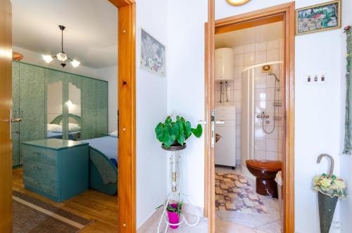 a bathroom with a sink and a toilet in a room at TOMIC A MAZURANICA in Novi Vinodolski