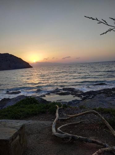 a sunset over the ocean with a rope on the shore at Hotel Mochlos in Mochlos