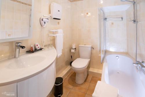 a bathroom with a toilet and a sink and a shower at Hotel Saint-Sauveur in Meyrueis