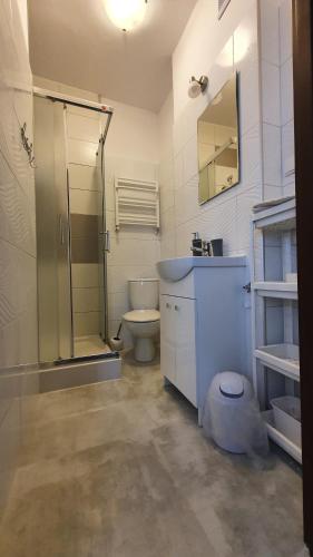 a bathroom with a shower and a toilet and a sink at Willa Nad Potokiem in Kudowa-Zdrój