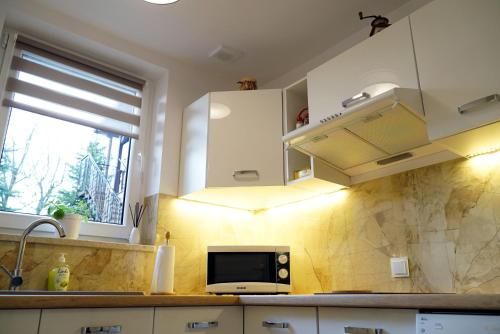 Kuchyňa alebo kuchynka v ubytovaní Apartament Nałęczów dom pod orzechami