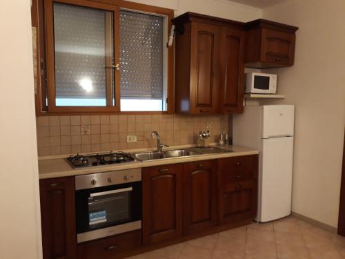 羅馬的住宿－Miriam's Short Rent House，厨房配有木制橱柜、水槽和冰箱。