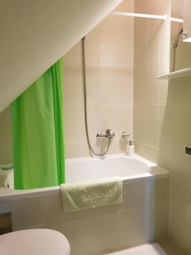 a bathroom with a green shower curtain and a toilet at Apartments Hill House Zlatibor in Zlatibor