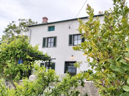 スペタルスカ・ドラガにあるCountry house Viskicのギャラリーの写真