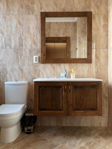 a bathroom with a toilet and a sink and a mirror at Апартаменты Solnce Karpat in Polyana