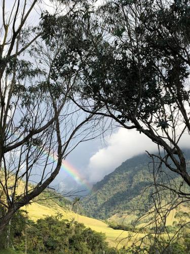 a rainbow in the sky over a field with trees at Cabañas Valle del Cocora La Truchera in Salento
