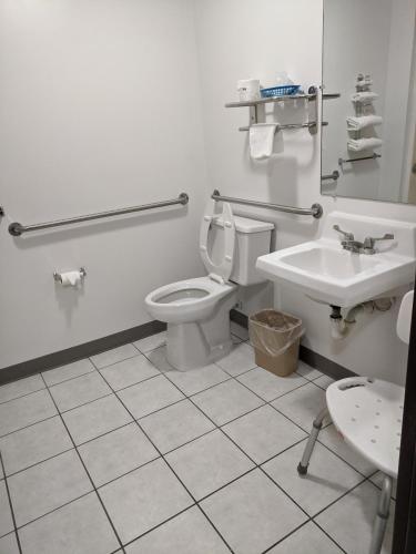 a bathroom with a toilet and a sink at Americas Best Value Inn West Frankfort in West Frankfort