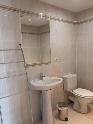 a bathroom with a sink and a toilet and a mirror at Mas Rondole - Chambres d'hôtes in Saillagouse