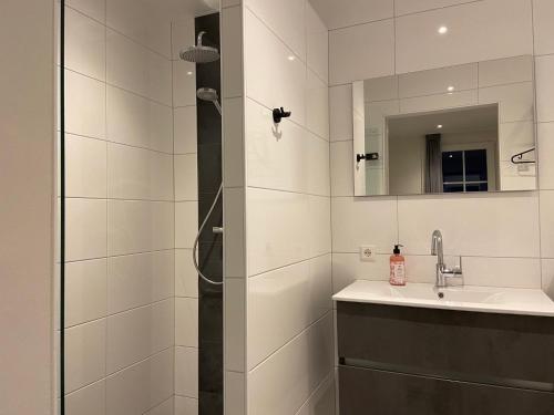 bagno con doccia, lavandino e specchio di Hof van Lenthe appartement De Mars a Dalfsen