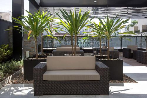 een stoel op een binnenplaats met palmbomen bij NH Curitiba The Five in Curitiba
