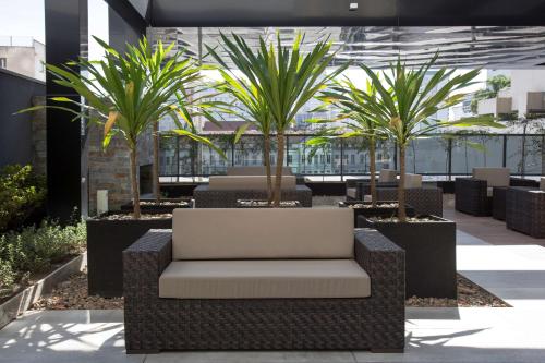 a chair in a courtyard with palm trees at NH Curitiba The Five in Curitiba