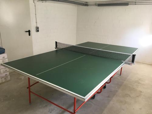 Stolní tenis v ubytování Fewo Granetalsperre nebo okolí