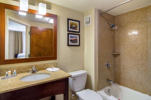 A bathroom at Comfort Inn Acworth - Kennesaw Northwest