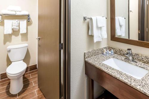 a bathroom with a toilet and a sink and a mirror at Comfort Inn in Waukesha