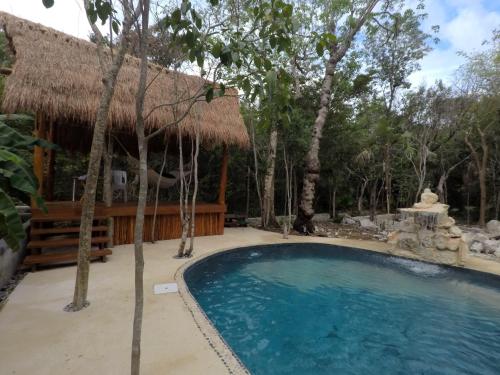 a swimming pool in front of a house with a hut at Tulum Nueve in Tulum