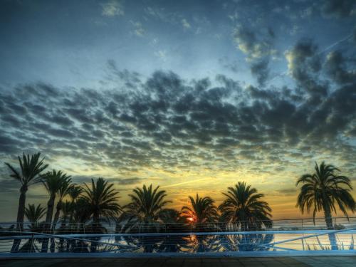 a group of palm trees in front of a sunset at Balneario de Leana in Fortuna