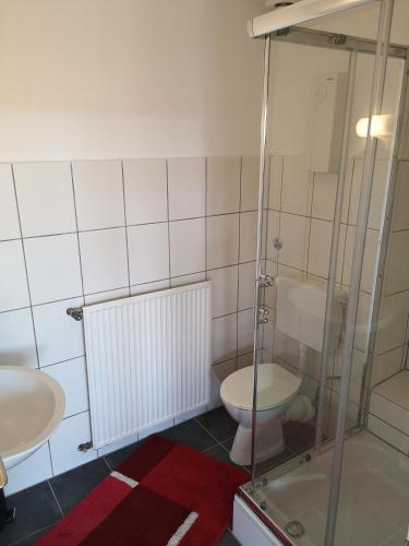 La salle de bains est pourvue de toilettes et d'une douche en verre. dans l'établissement Wohnlich, à Würselen
