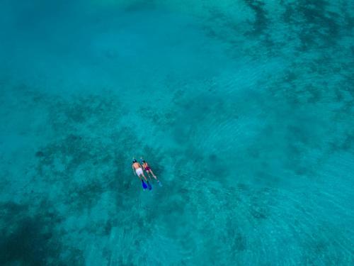 two people on surfboards in the blue water at Anantara Veli Maldives Resort in South Male Atoll