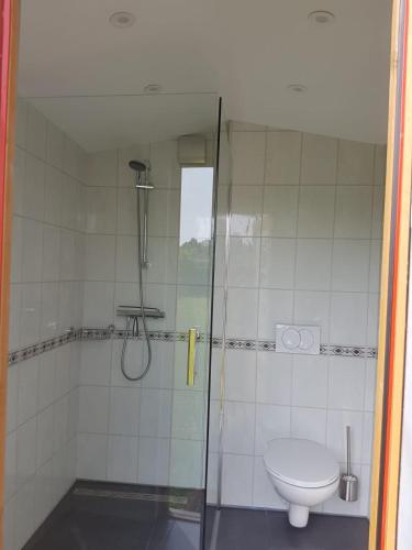 uma casa de banho com um chuveiro e um WC. em Zigeuner wagen em Oostvoorne