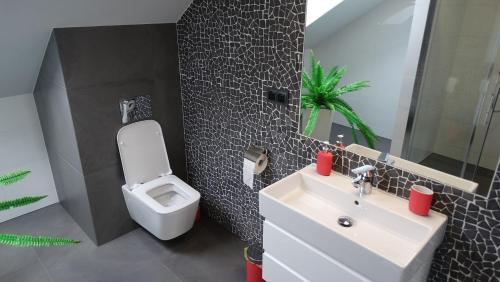 a bathroom with a white sink and a toilet at DOMINO-APARTAMENTY Red in Krościenko