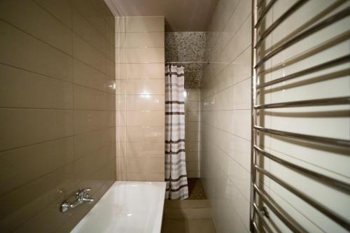 ein Bad mit einem Waschbecken und einer Dusche in der Unterkunft Apartments on Mitny Square in Lwiw