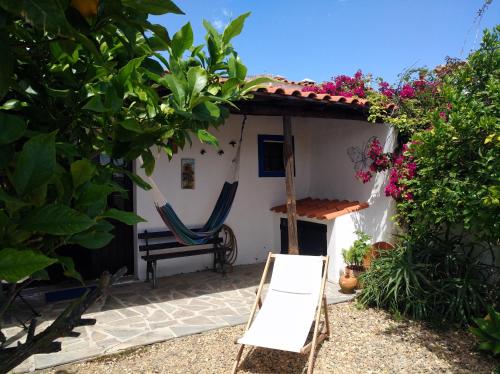 a cottage with a chair and flowers in the yard at Casa da Tia Luísa in Montoito