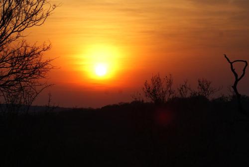 a sunset with a tree in the foreground at Mountain View Safari Lodge in Hoedspruit