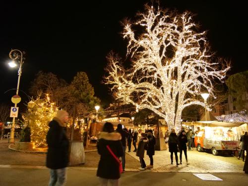 a group of people standing in front of a christmas tree at Apartments Sabine G in Merano