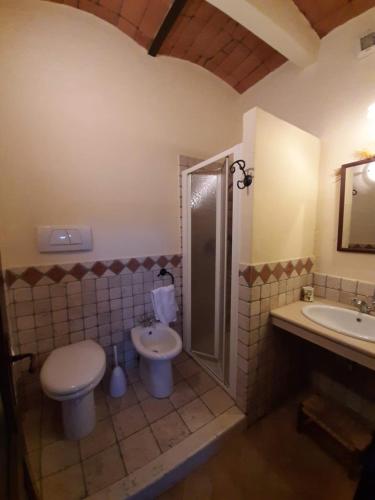 uma casa de banho com um WC, um chuveiro e um lavatório. em Agriturismo Lupo Vecchio em Grosseto