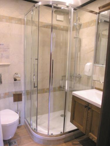 a shower in a bathroom with a toilet and a sink at 7 Pools SPA Boutique Hotel in Bansko
