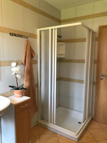 a shower with a glass door in a bathroom at Ferienwohnung Ostseeland 1 in Börgerende-Rethwisch
