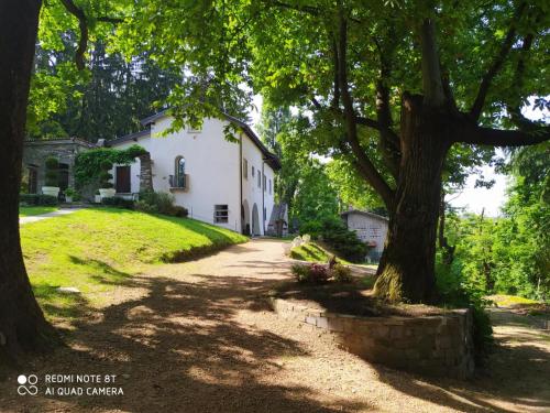 an old white house with a tree and a driveway at "La Selvetta" bed and breakfast in Buguggiate