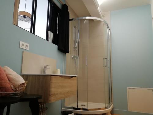 ein Bad mit einer Dusche und einem Waschbecken in der Unterkunft L'Escale Fougeraise in Fougères