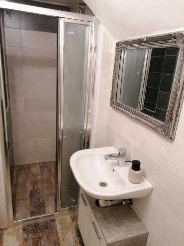 a bathroom with a sink and a shower at Apartment B B B in Český Krumlov