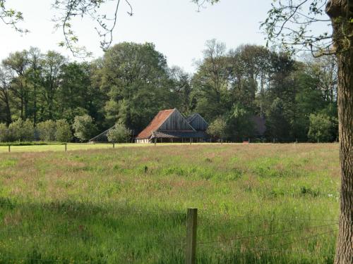 a barn in the middle of a field at 't Buitenverblijf Erve Punte in Losser